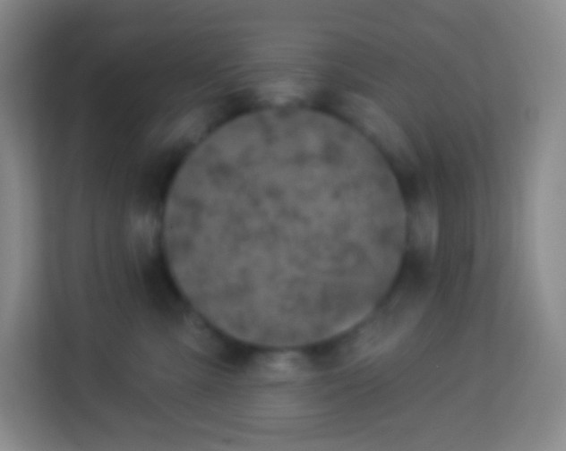 X0000113940427200910091626