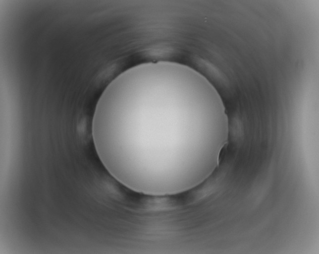 X0000113940428200910091626