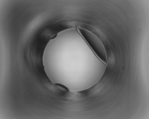 X0000113940429200910091626