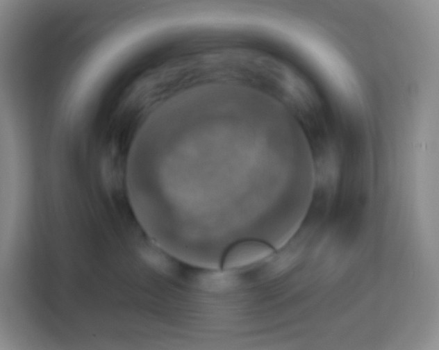 X0000113940431200910091626