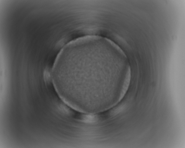 X0000113940432200910091626