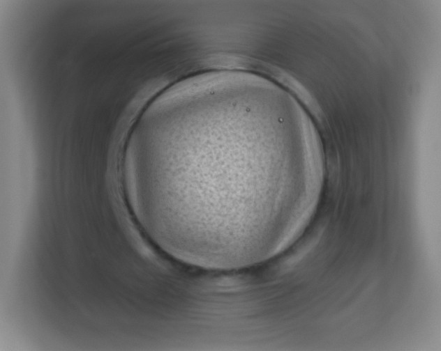 X0000113940433200910091626