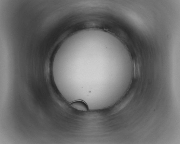 X0000113940435200910091626