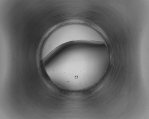 X0000113940436200910091626