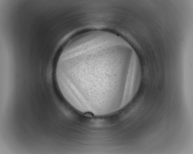 X0000113940440200910091626