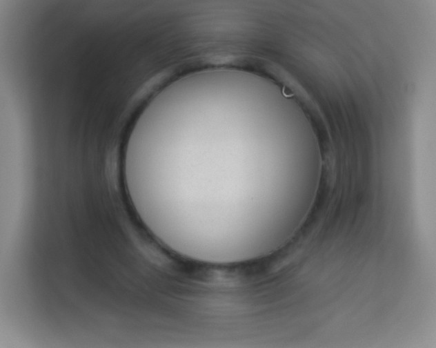 X0000113940442200910091626