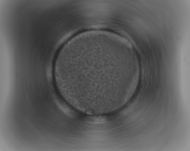 X0000113940443200910091626