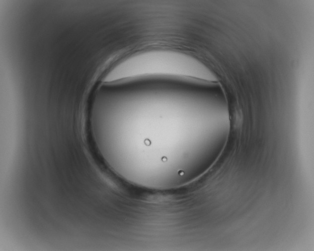 X0000113940444200910091626