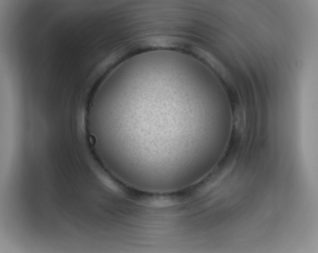 X0000113940445200910091626