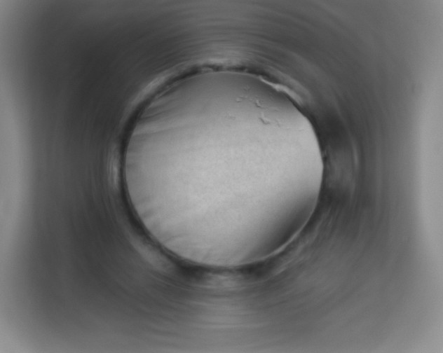 X0000113940446200910091626