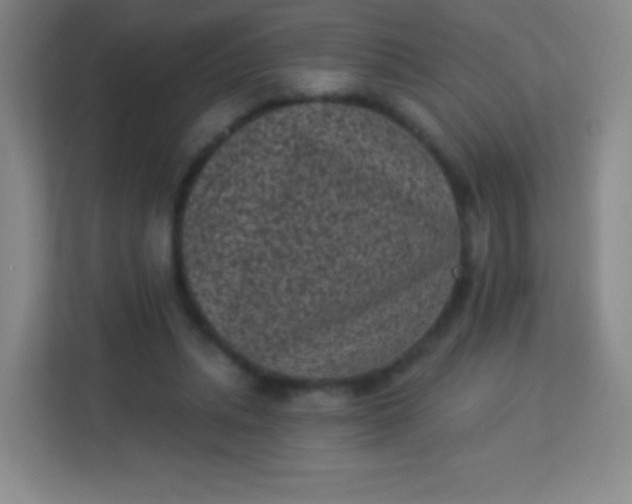 X0000113940447200910091626