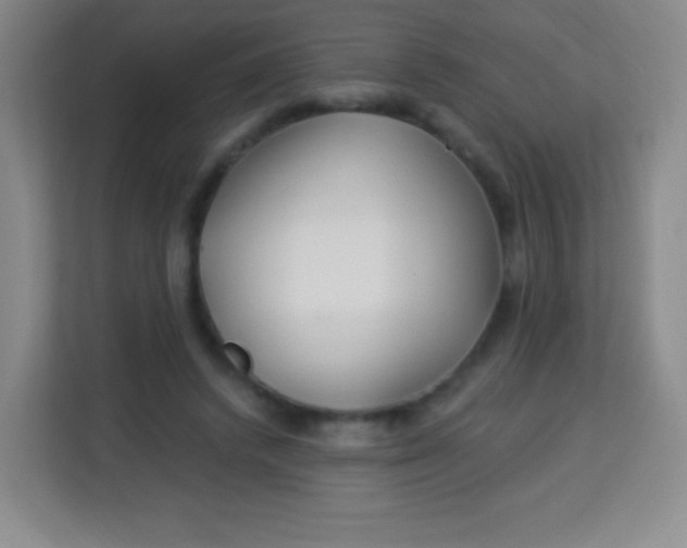 X0000113940448200910091626