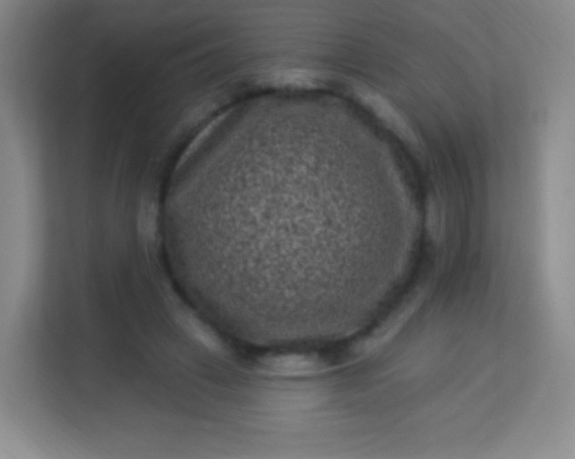 X0000113940449200910091626