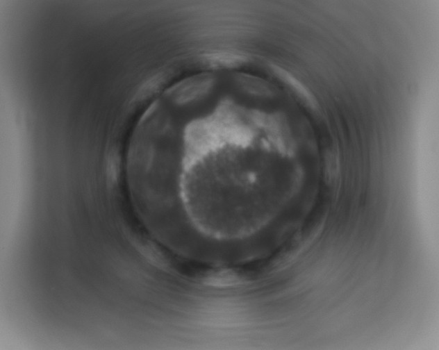 X0000113940451200910091626