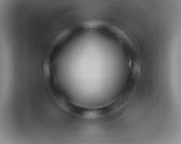 X0000113940452200910091626