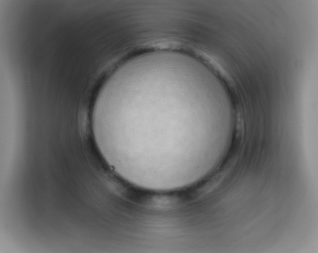 X0000113940453200910091626