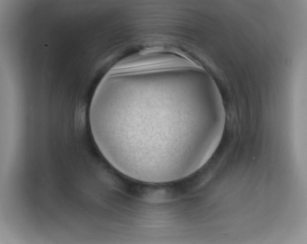 X0000113940454200910091626