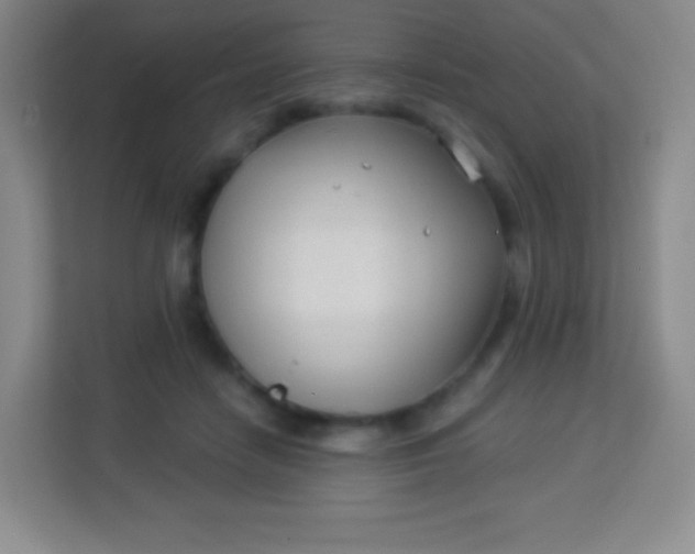 X0000113940458200910091626