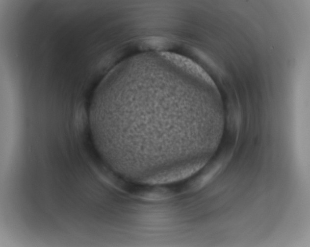 X0000113940459200910091626