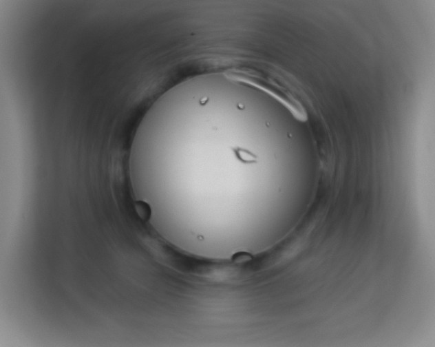 X0000113940462200910091626