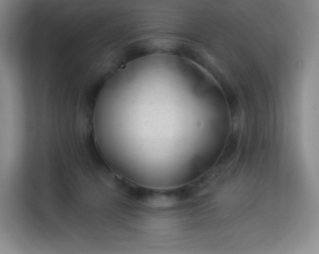 X0000113940464200910091626