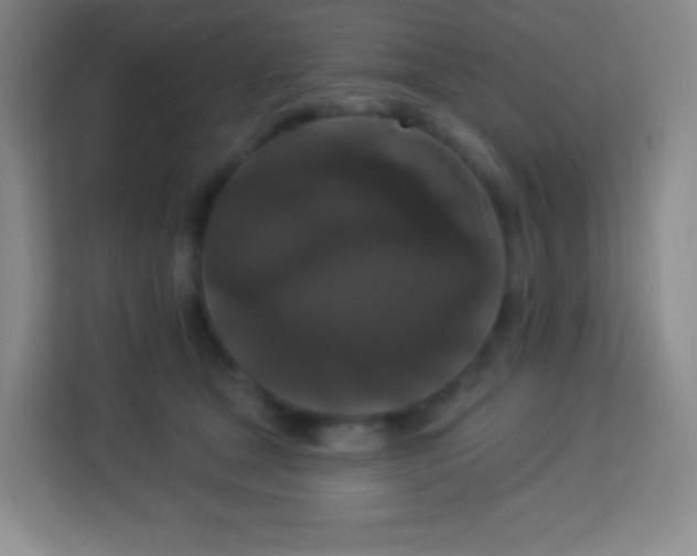 X0000113940465200910091626