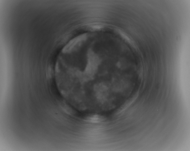 X0000113940467200910091626