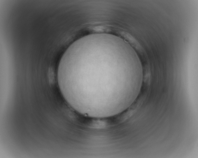 X0000113940469200910091626