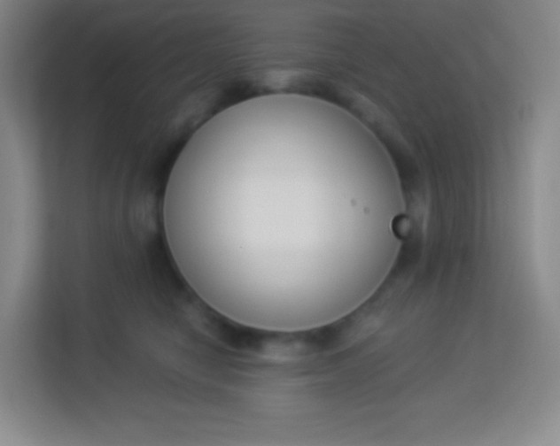 X0000113940470200910091626