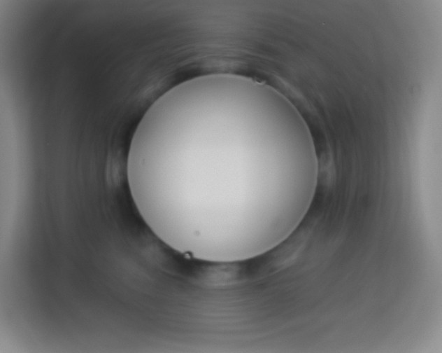 X0000113940474200910091626