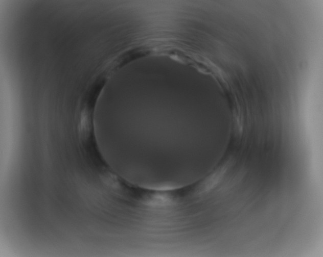 X0000113940475200910091626