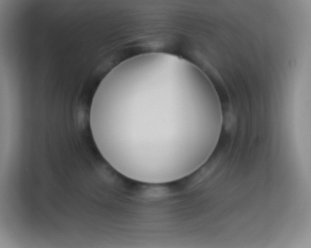 X0000113940476200910091626