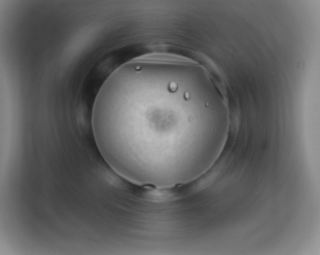 X0000113940477200910091626