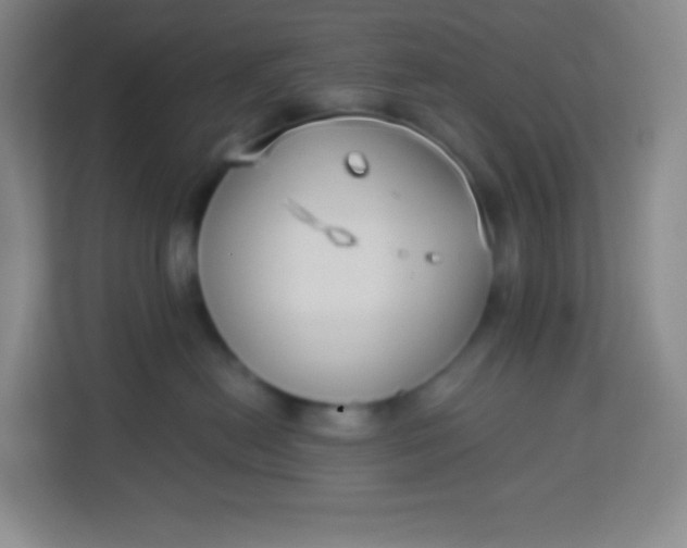 X0000113940478200910091626