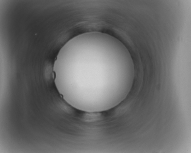 X0000113940480200910091626