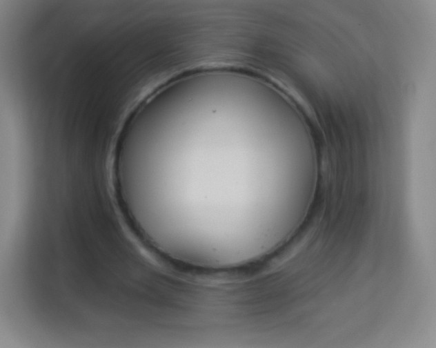 X0000113940485200910091626