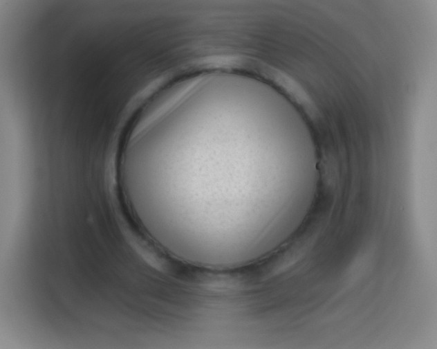 X0000113940486200910091626