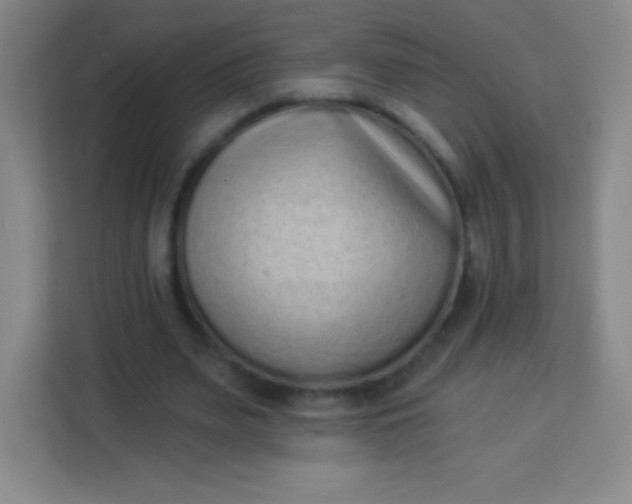 X0000113940487200910091626