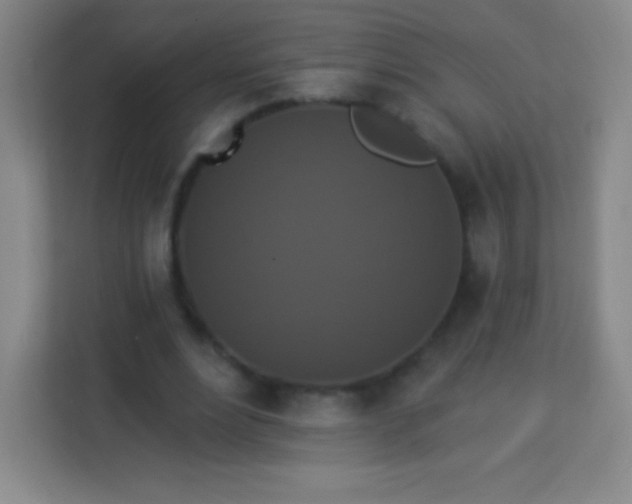 X0000113940488200910091626