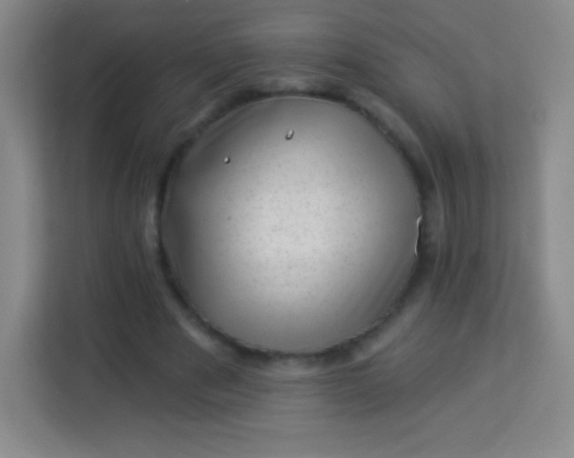 X0000113940489200910091626