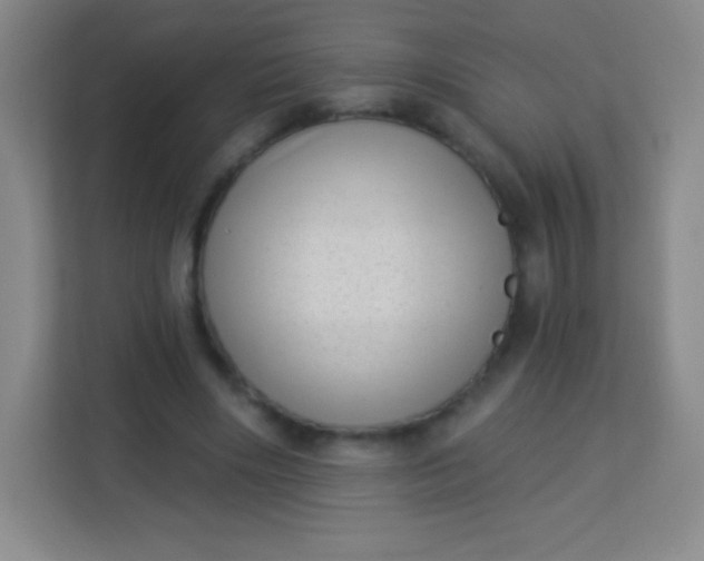 X0000113940490200910091626