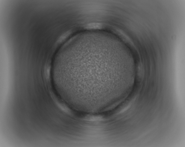 X0000113940491200910091625