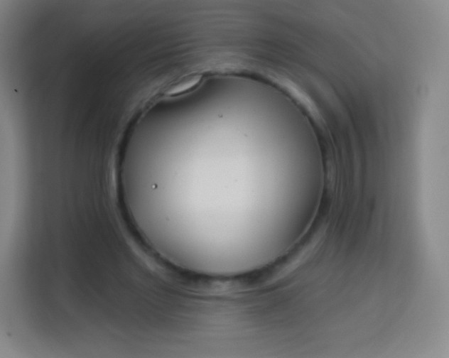 X0000113940493200910091625