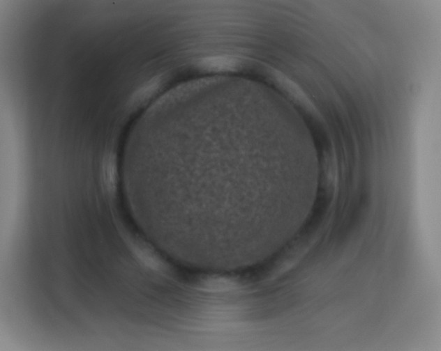 X0000113940494200910091625