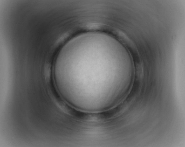 X0000113940495200910091625