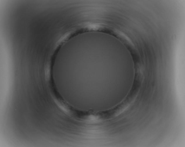 X0000113940496200910091625