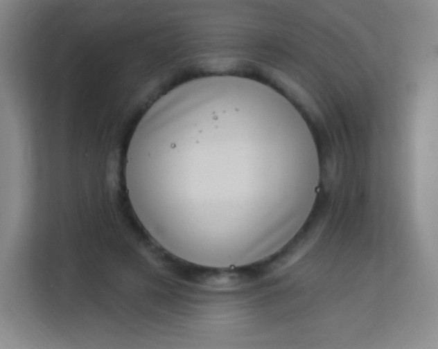 X0000113940497200910091625