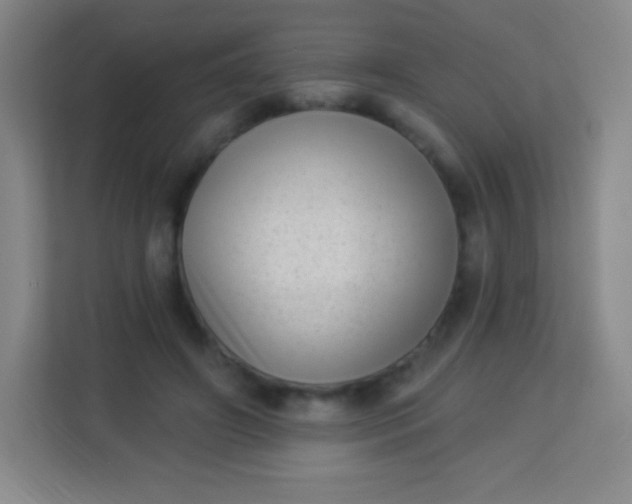 X0000113940498200910091625