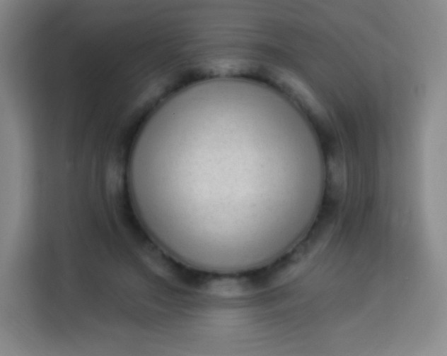 X0000113940499200910091625