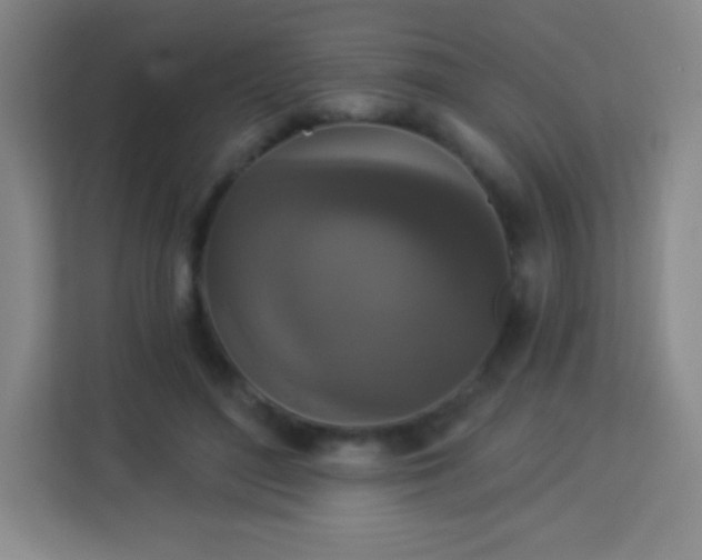 X0000113940500200910091625